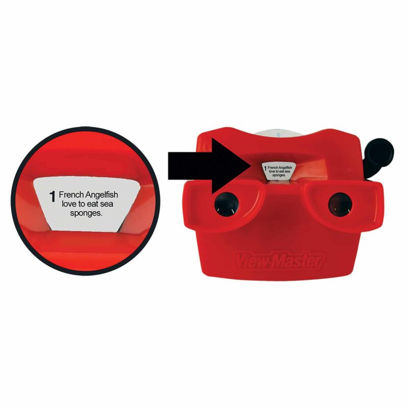 Viewmaster Boxed Set - US 6593