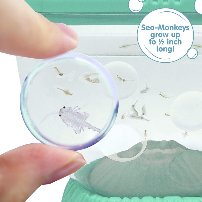 Sea-Monkeys Ocean Volcano - US 3155
